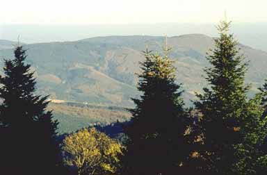 Le Mont-Blanc vu du Mont Saint-Rigaud